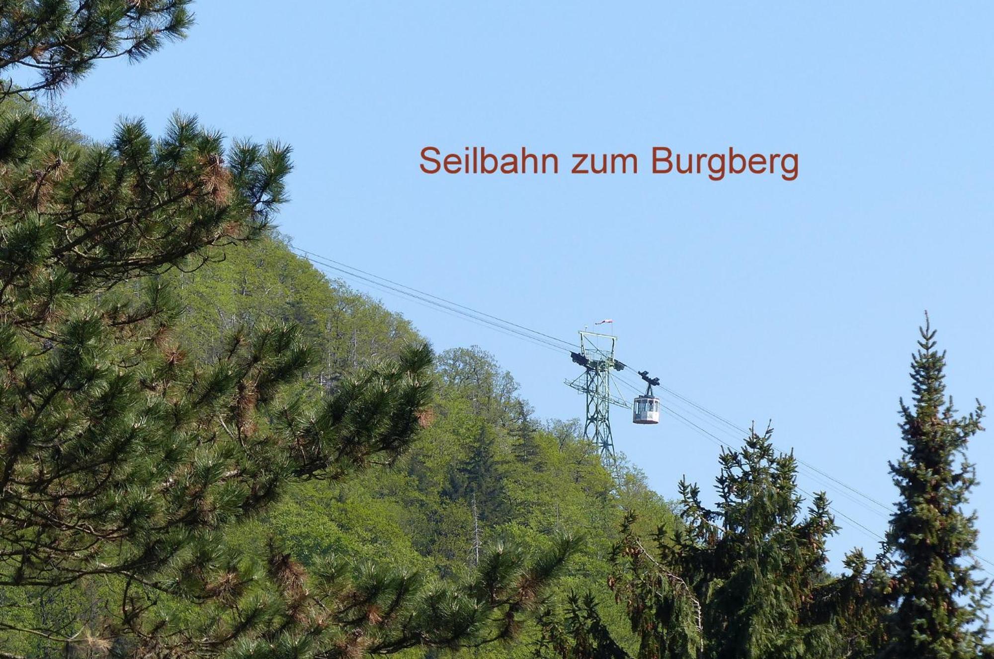 Fewo Parkblick Mit 2 Baedern Bad Harzburg Exteriör bild