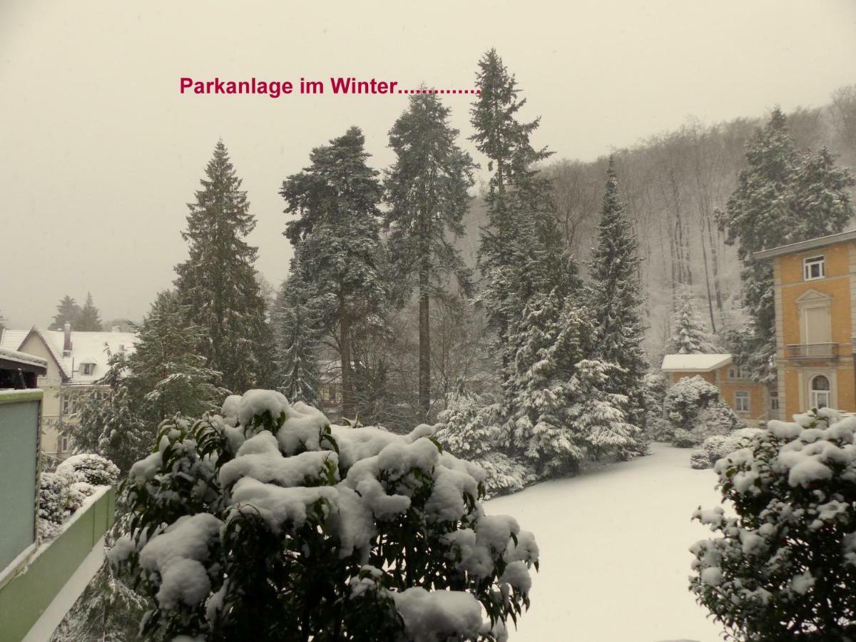 Fewo Parkblick Mit 2 Baedern Bad Harzburg Exteriör bild